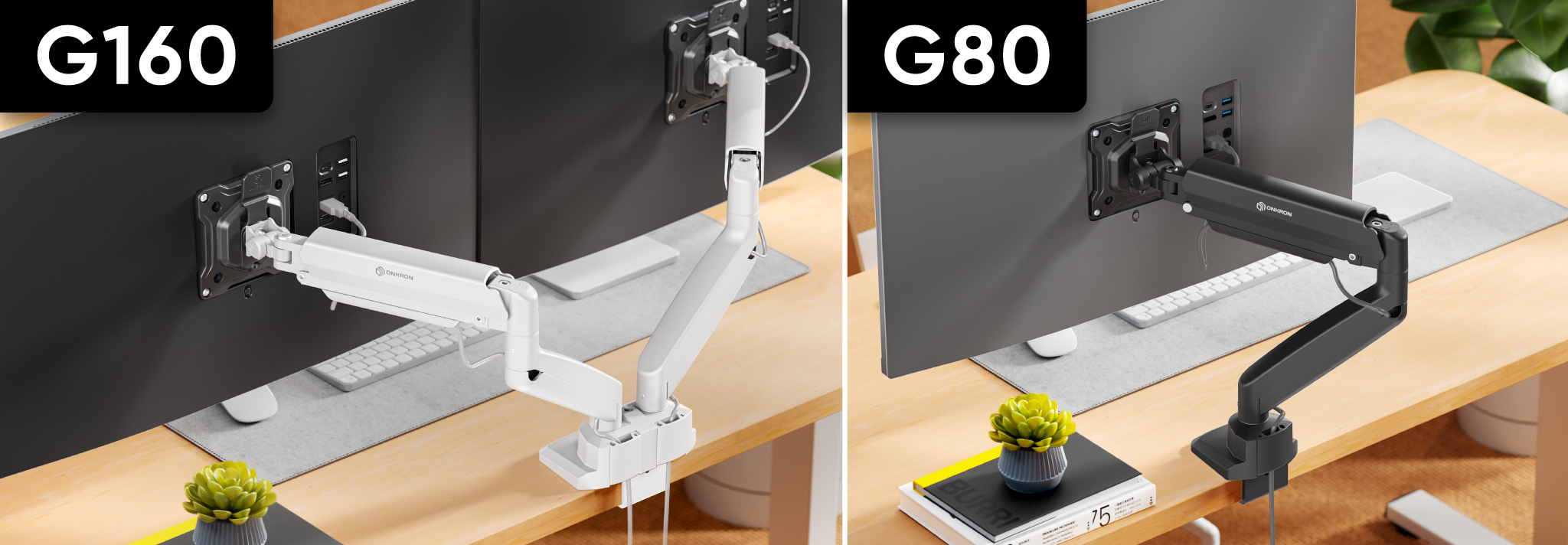 G80+G160